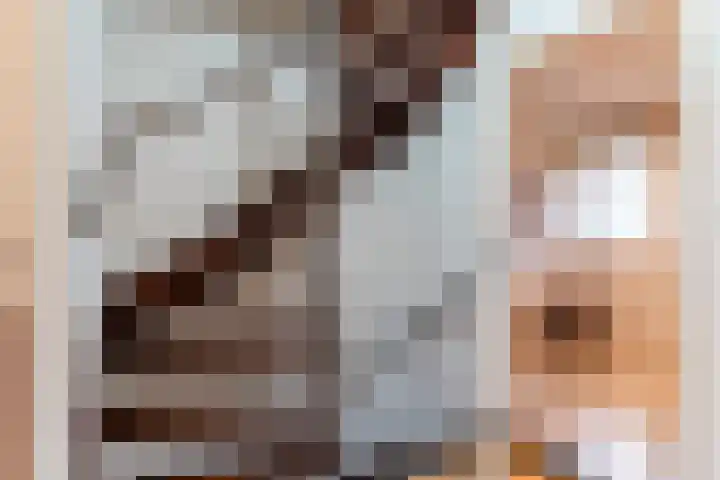 Veronapad 2 Eindhoven thumbnail 18