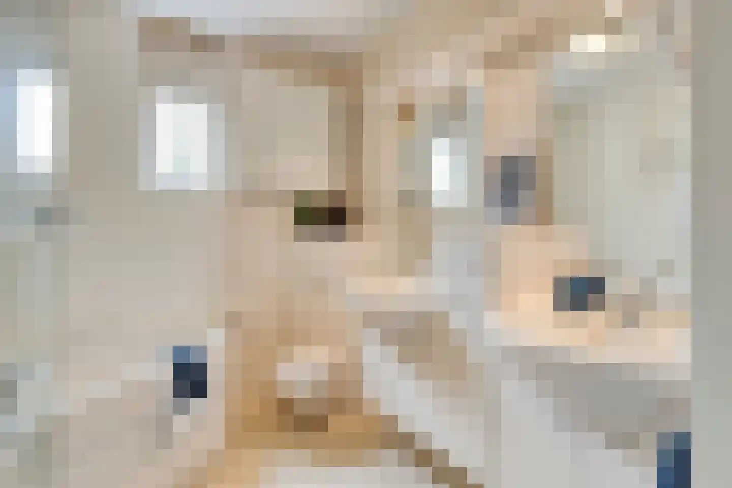 Veronaplein 4 's-Hertogenbosch thumbnail 25