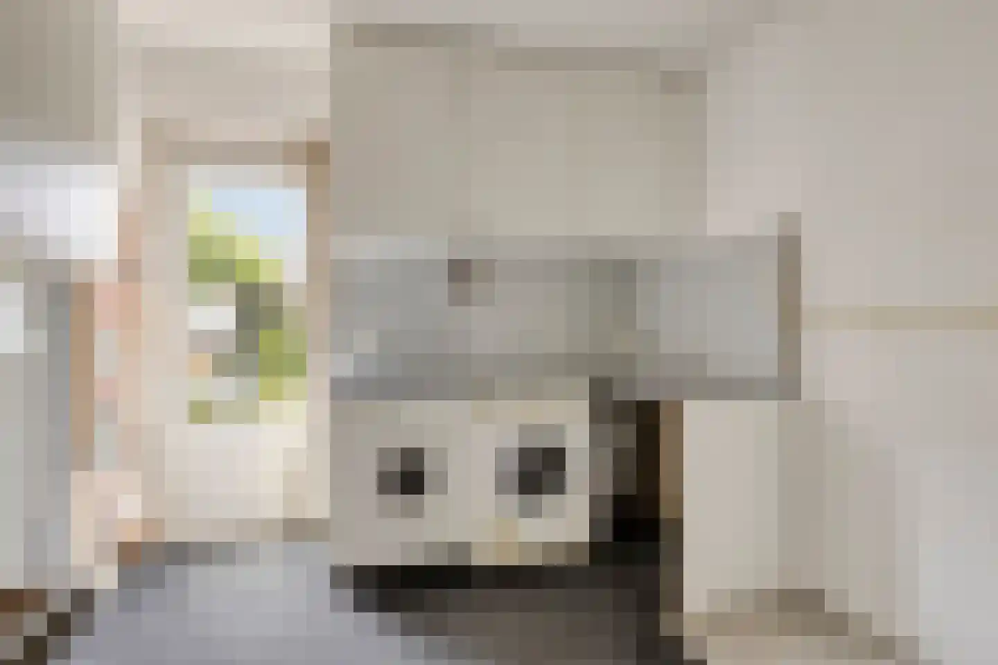 Veronaplein 4 's-Hertogenbosch thumbnail 28