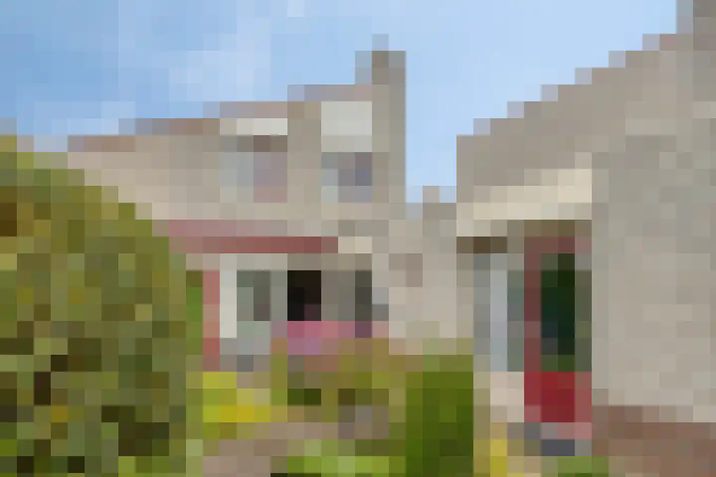 Veronaplein 4 's-Hertogenbosch thumbnail 40