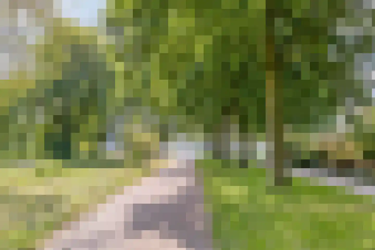 Veronaplein 4 's-Hertogenbosch thumbnail 52