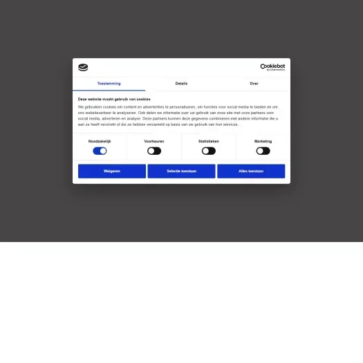 Screenshot of the website of www.verra.nl