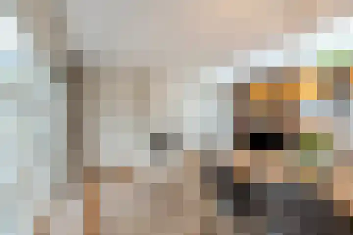 Verre Weiden 24 Rijen thumbnail 12