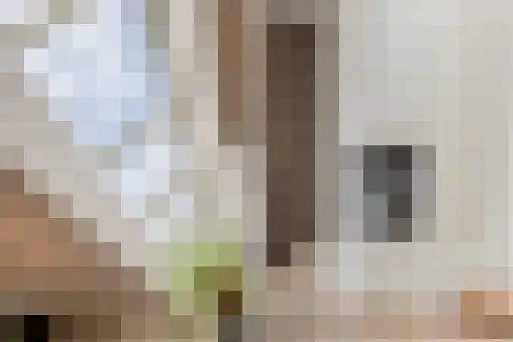 Verre Weiden 24 Rijen thumbnail 15