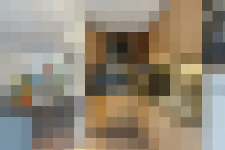 Verre Weiden 24 Rijen thumbnail 16