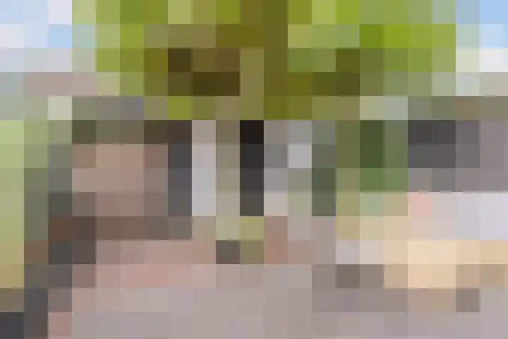 Verre Weiden 24 Rijen thumbnail 18