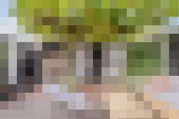 Verre Weiden 24 Rijen thumbnail 19