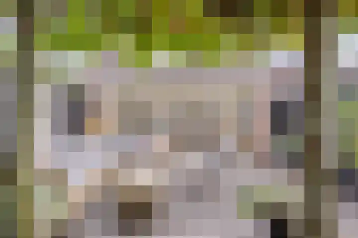 Verre Weiden 24 Rijen thumbnail 20
