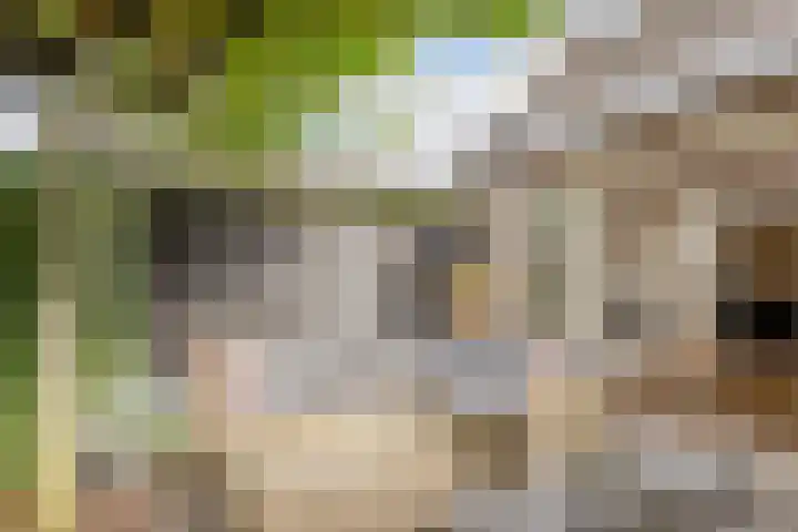 Verre Weiden 24 Rijen thumbnail 21