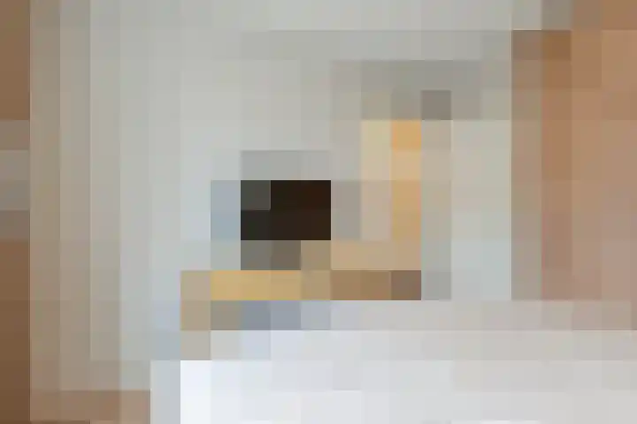 Verre Weiden 24 Rijen thumbnail 25