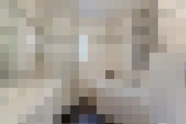 Verre Weiden 24 Rijen thumbnail 28