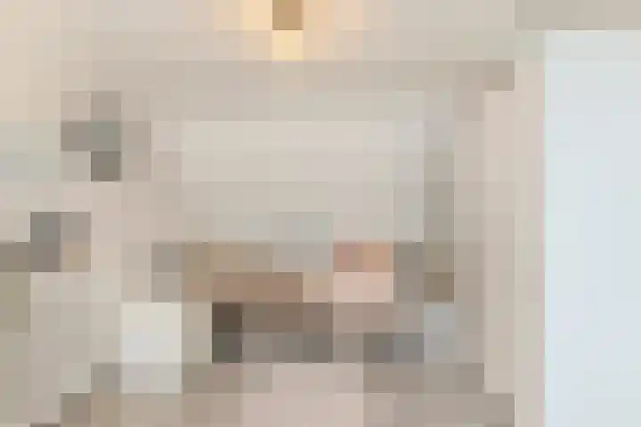 Verre Weiden 24 Rijen thumbnail 33
