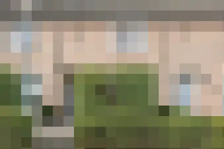 Verre Weiden 24 Rijen thumbnail 36