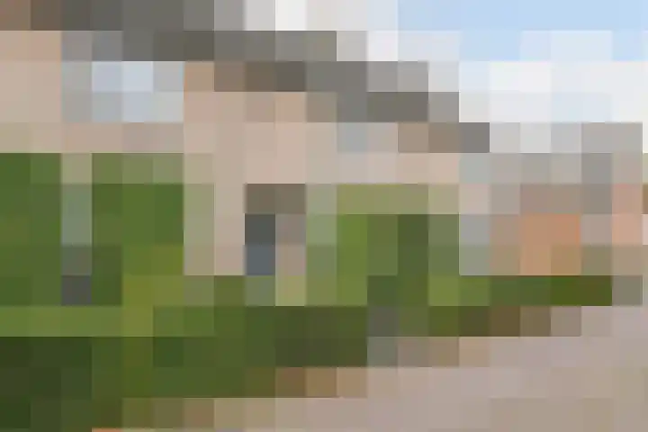 Verre Weiden 24 Rijen thumbnail 37