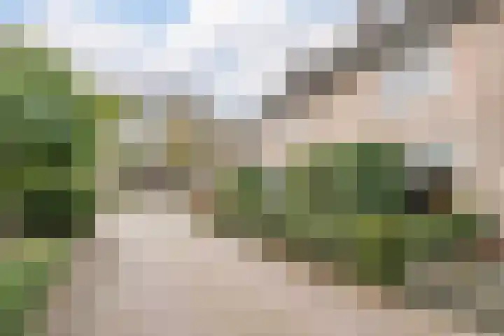 Verre Weiden 24 Rijen thumbnail 38