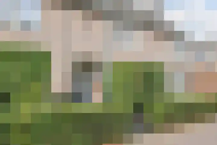 Verre Weiden 24 Rijen thumbnail 39