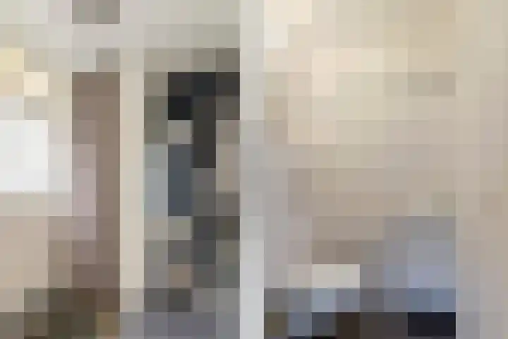 Verre Weiden 24 Rijen thumbnail 5