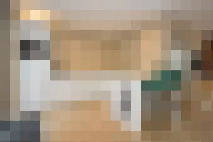 Verremeer 101 Rijsenhout thumbnail 24