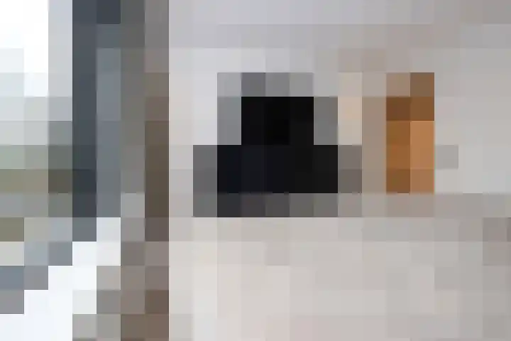 Verremeer 101 Rijsenhout thumbnail 29