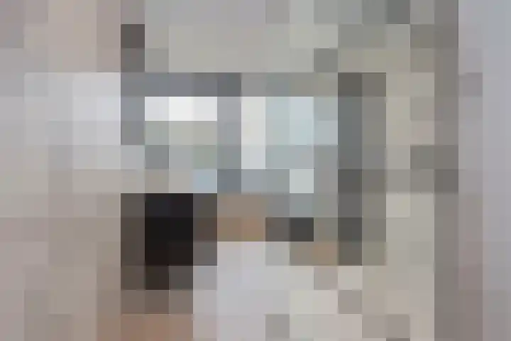 Verremeer 101 Rijsenhout thumbnail 31