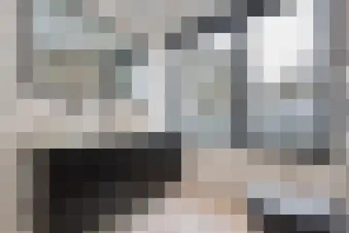 Verremeer 101 Rijsenhout thumbnail 32
