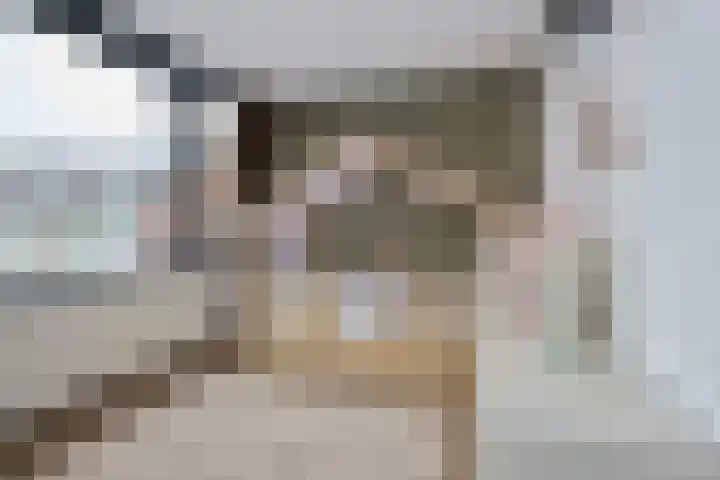 Verremeer 101 Rijsenhout thumbnail 37