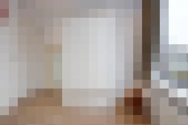 Verremeer 101 Rijsenhout thumbnail 39