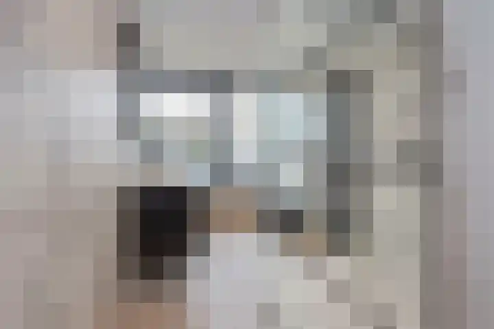 Verremeer 101 Rijsenhout thumbnail 4