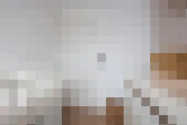 Verremeer 101 Rijsenhout thumbnail 41
