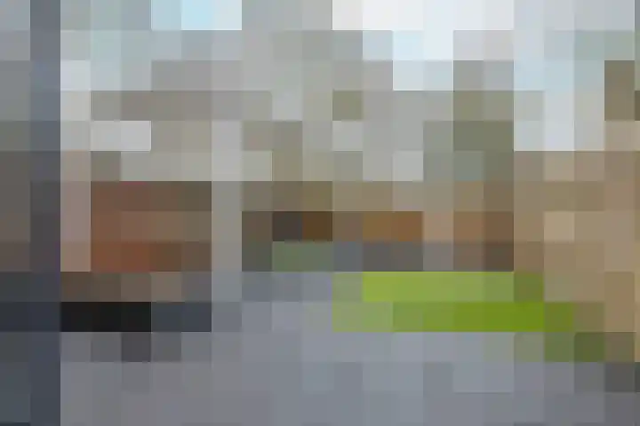 Verremeer 101 Rijsenhout thumbnail 47