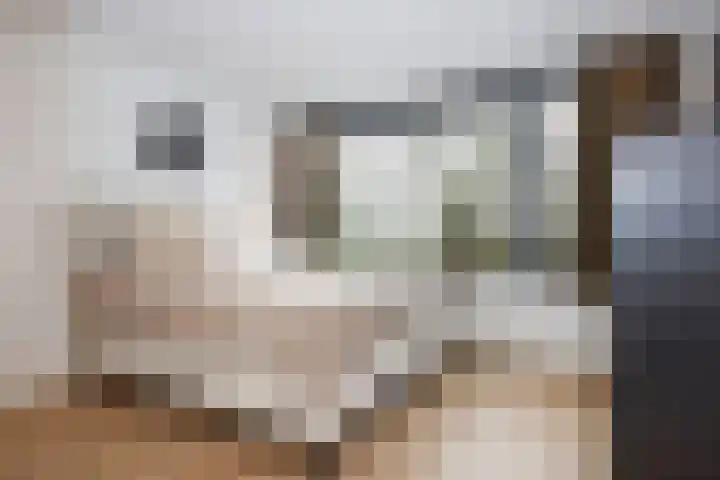Verremeer 101 Rijsenhout thumbnail 5