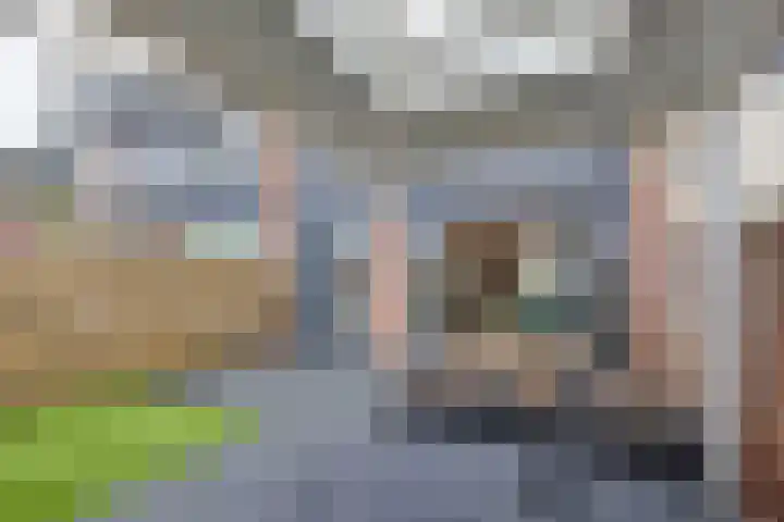 Verremeer 101 Rijsenhout thumbnail 51