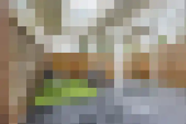 Verremeer 101 Rijsenhout thumbnail 52
