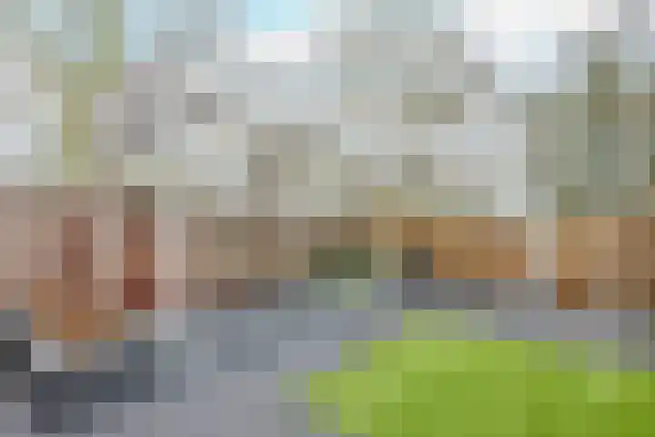 Verremeer 101 Rijsenhout thumbnail 53