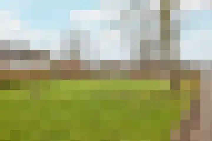 Verremeer 101 Rijsenhout thumbnail 54