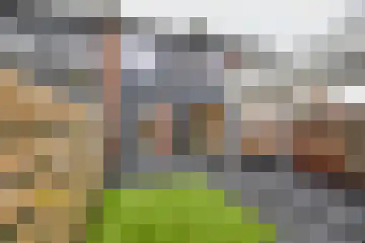 Verremeer 101 Rijsenhout thumbnail 6