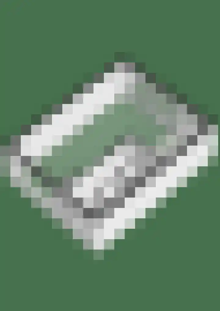 Verremeer 101 Rijsenhout thumbnail 61