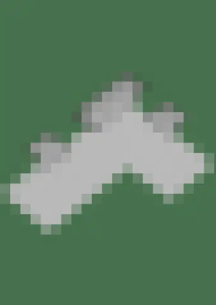 Verremeer 101 Rijsenhout thumbnail 67