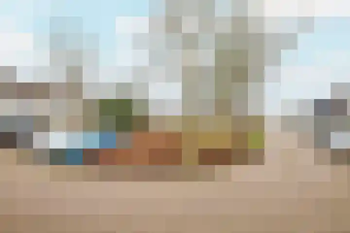 Verremeer 101 Rijsenhout thumbnail 7