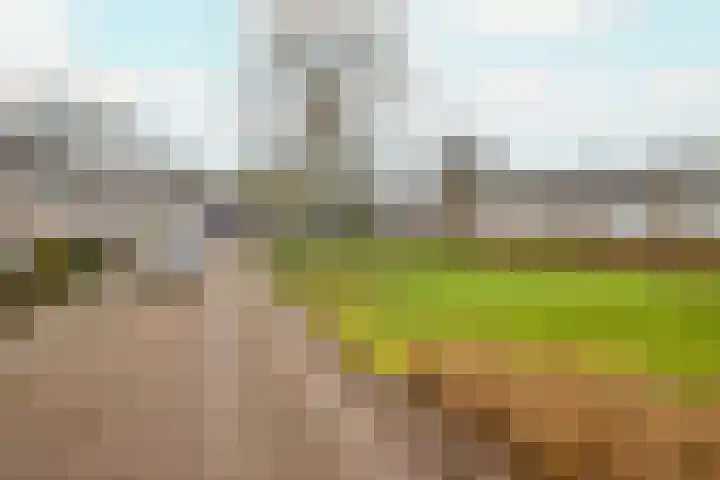 Verremeer 101 Rijsenhout thumbnail 8