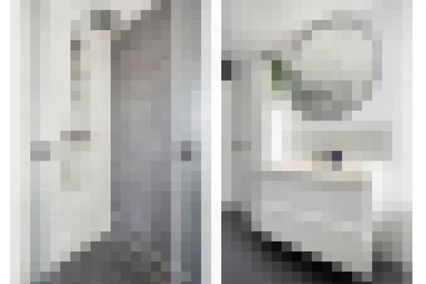 Verremeer 25 Rijsenhout thumbnail 21