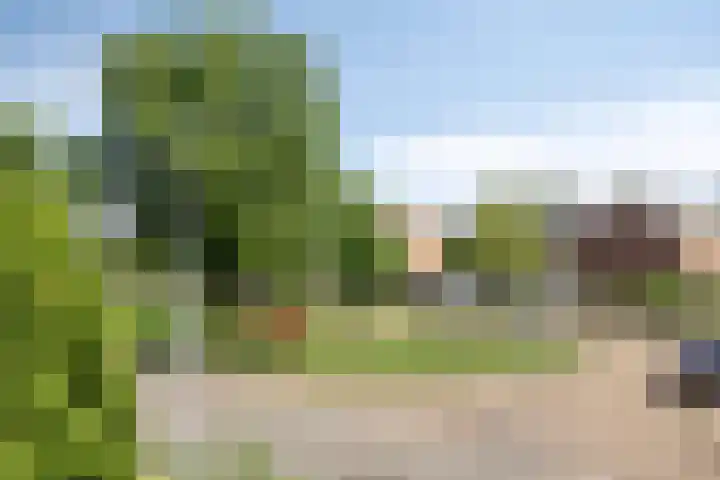 Verremeer 98 Rijsenhout thumbnail 10