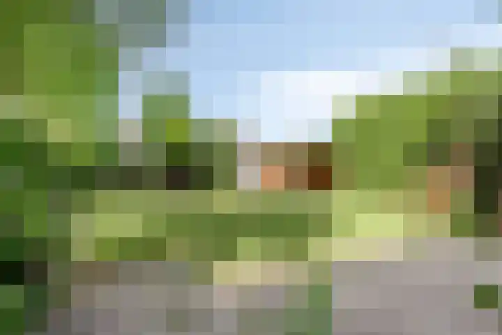 Verremeer 98 Rijsenhout thumbnail 16