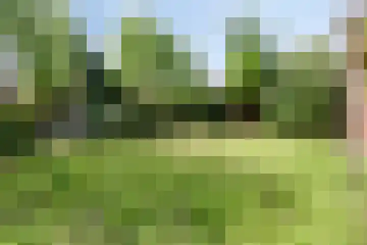 Verremeer 98 Rijsenhout thumbnail 17