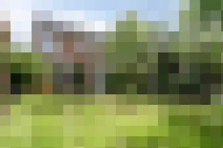 Verremeer 98 Rijsenhout thumbnail 18