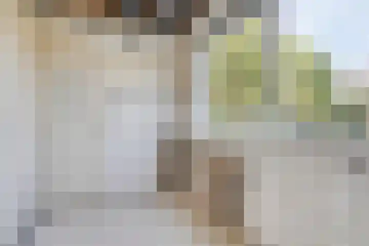 Verremeer 98 Rijsenhout thumbnail 6