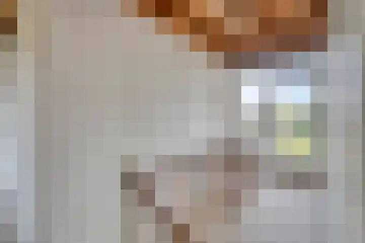 Verremeer 98 Rijsenhout thumbnail 9
