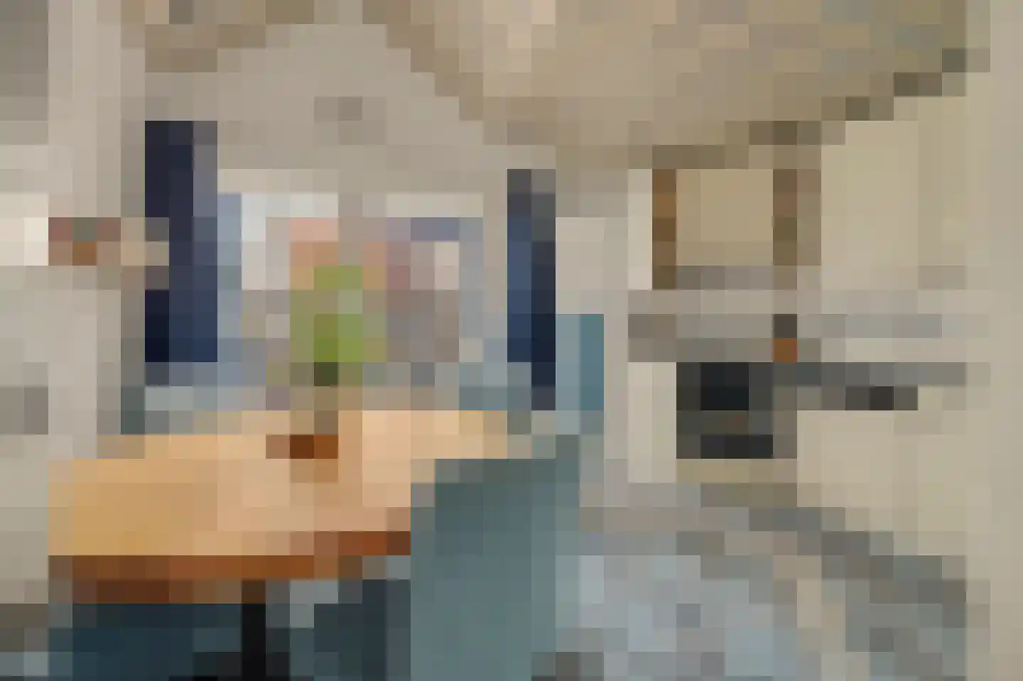 Verrenieuwstraat 23 Zierikzee thumbnail 10