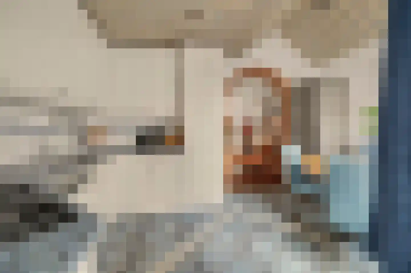 Verrenieuwstraat 23 Zierikzee thumbnail 11