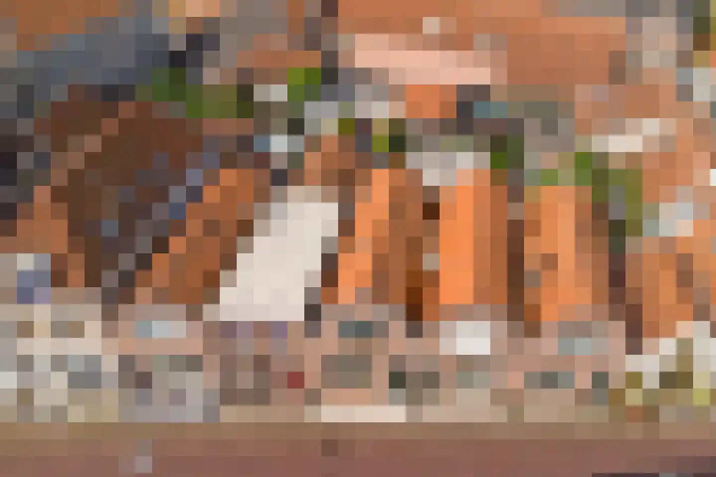 Verrenieuwstraat 23 Zierikzee thumbnail 37